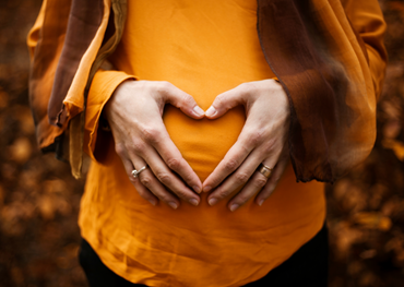 Pregnancy Diet Program 12 Months Plan